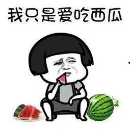 娱乐圈的吃瓜用语